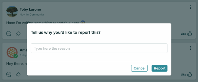 Report a Post 2